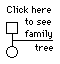 Jeff's family tree